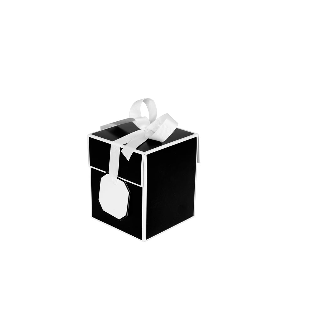 VICASKY 2 Rolls Gift Ribbons for Presents Clear Christmas Black Ribbon for  Gift Wrapping White Ribbon for Gift Wrapping Transparent Ribbon with Black